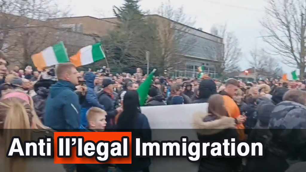 Thousands of Dubliners take a stand against Mass Illegal Immigration